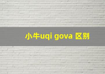 小牛uqi gova 区别